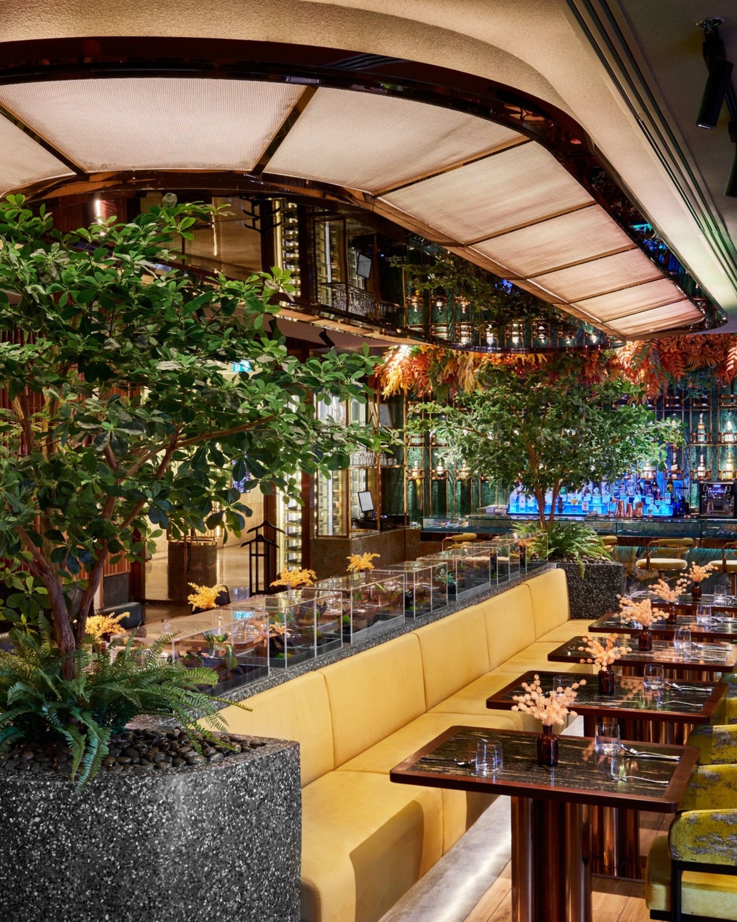 Florae Bangkok