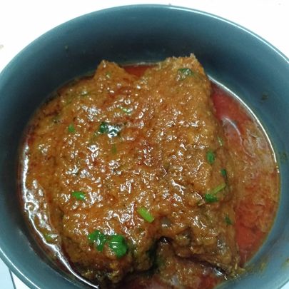 Cherry Burmese